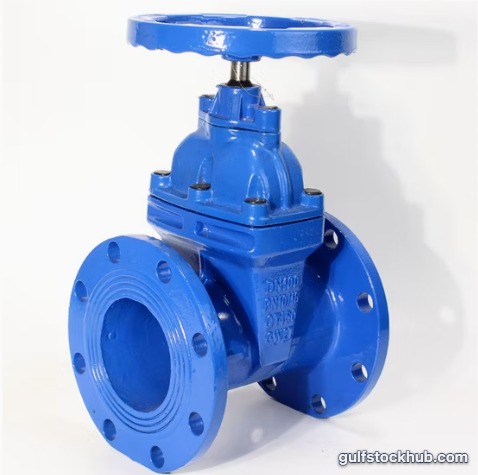 Gate Valve DN50 (2") PN16 Ductile Iron