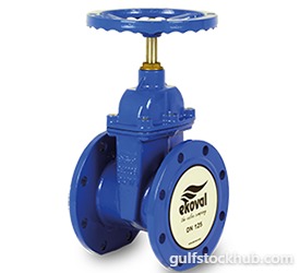 Ekoval Resilient Seat Gate Valve DN100 (4") PN16 with on off AUMA Actuator